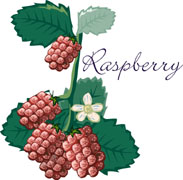 raspberrycomputergraphic.jpg